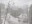 Leningrad